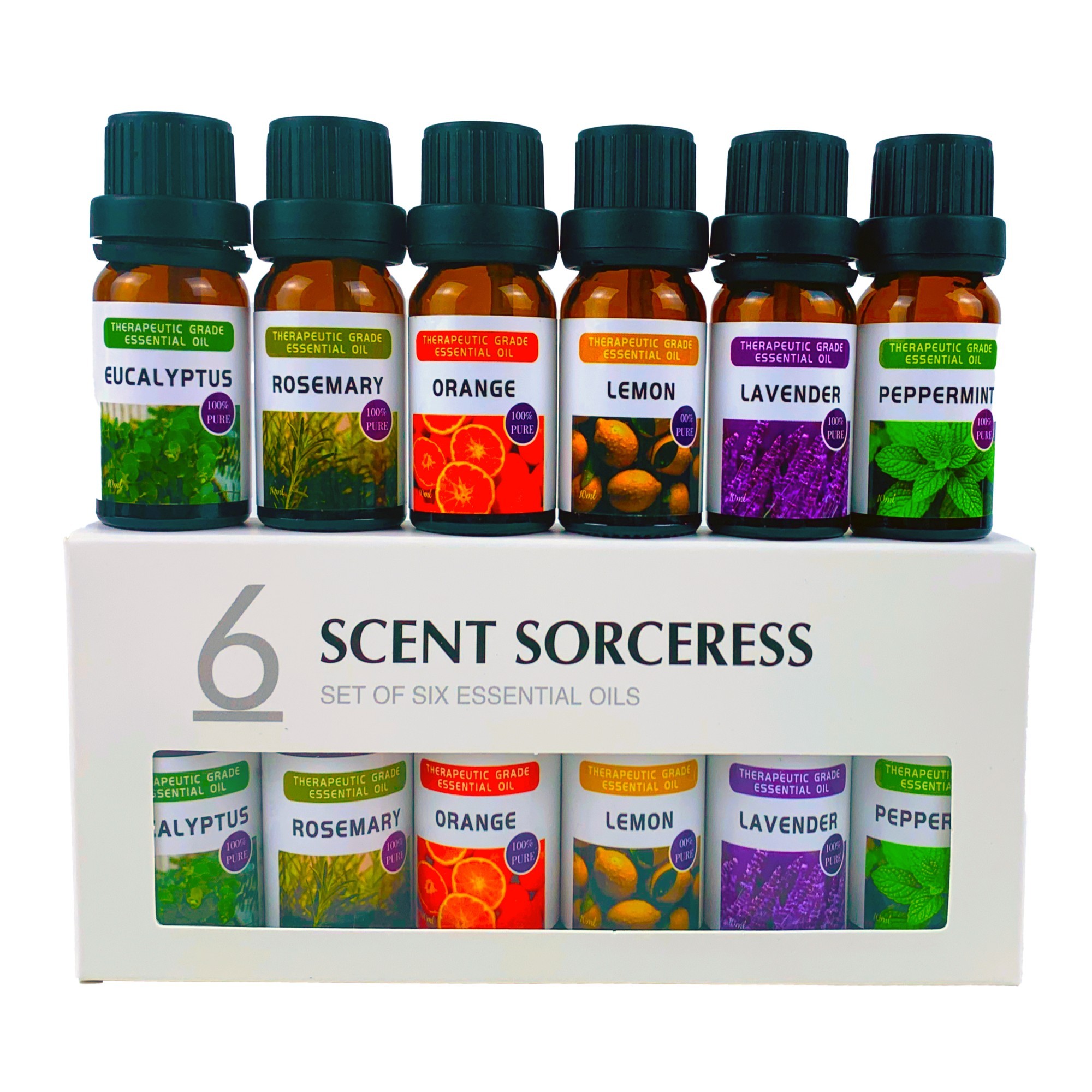 Spa Wellness Locations - 6Pcs/Set Pure Lemon Sweet Orange Eucalyptus