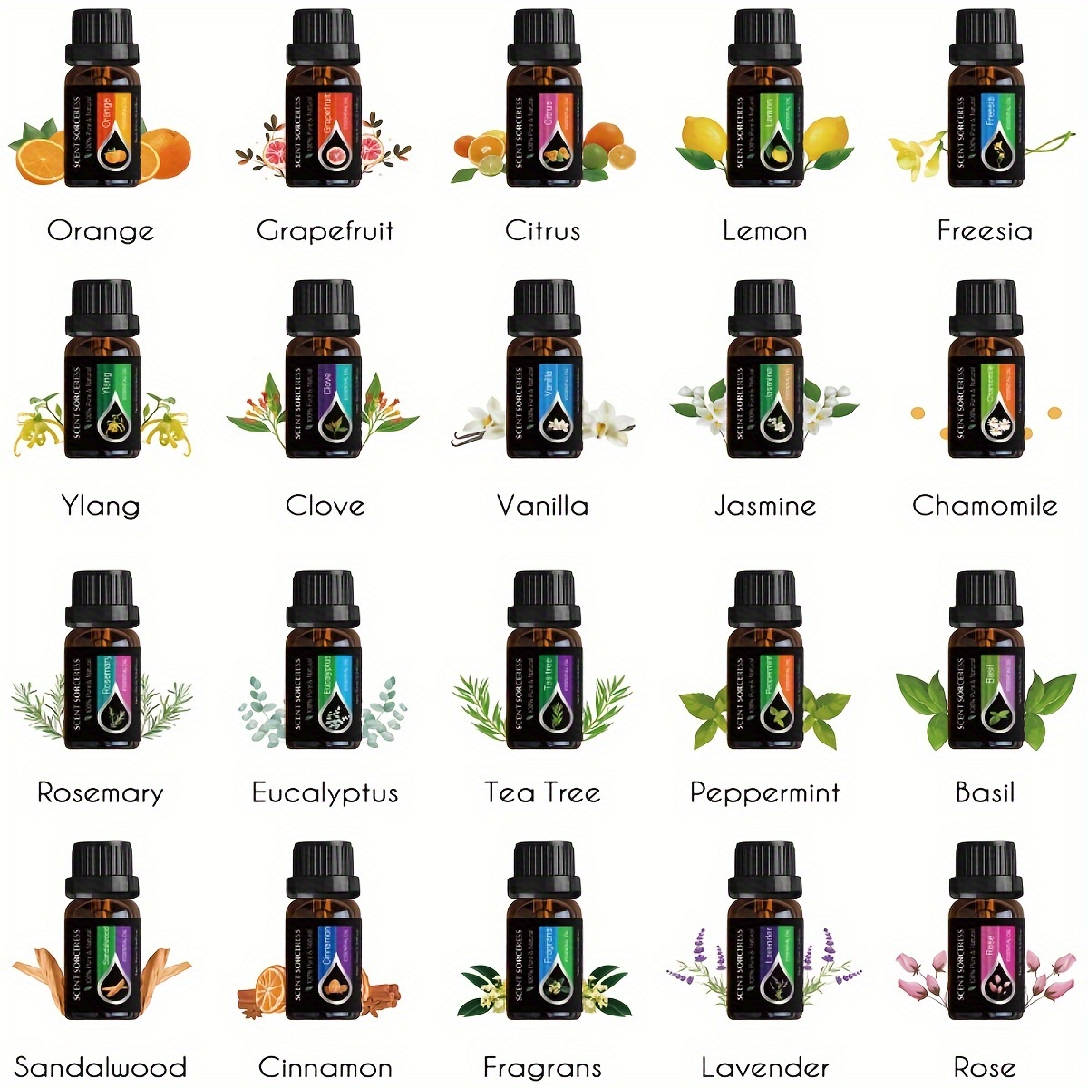 20pcs/set Essential Oil Set La - đánh giá và giá Spa Wellness Locations